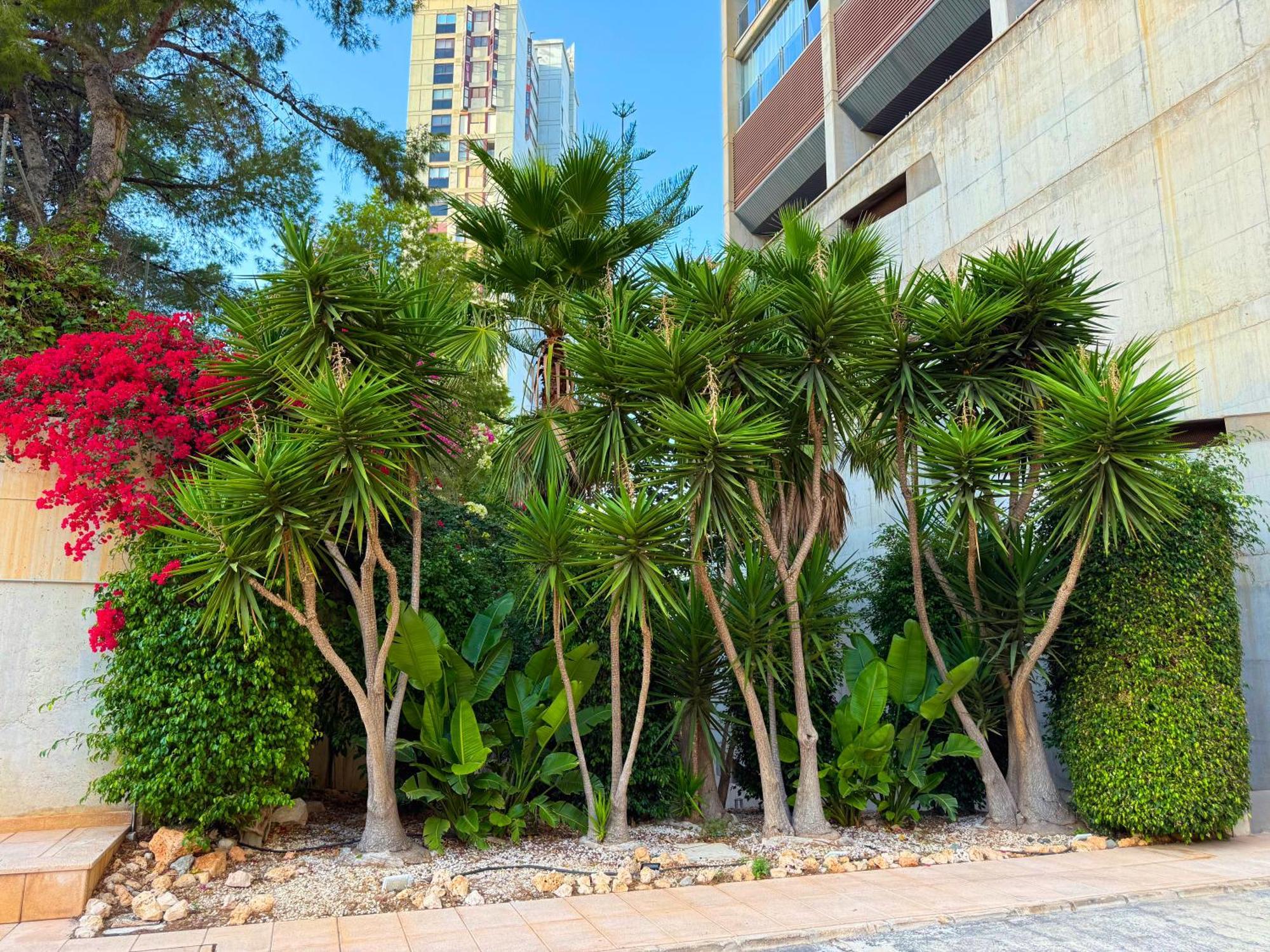 Beautiful Apartment Near Beach With Panoramic Sea-View Benidorm Exterior foto